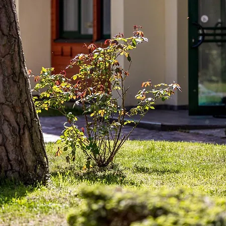 Park Hotel