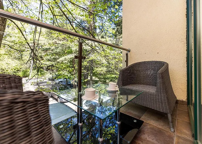 Park מלון פלאנגה