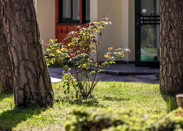 Park מלון פלאנגה